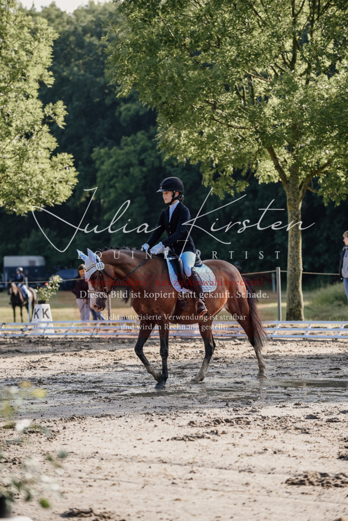 DSC_7776 | Pferde- und Turnierfotografie in Westsachsen. Pferdeportraits, Auftragszeichnungen und intuitive Kunst.