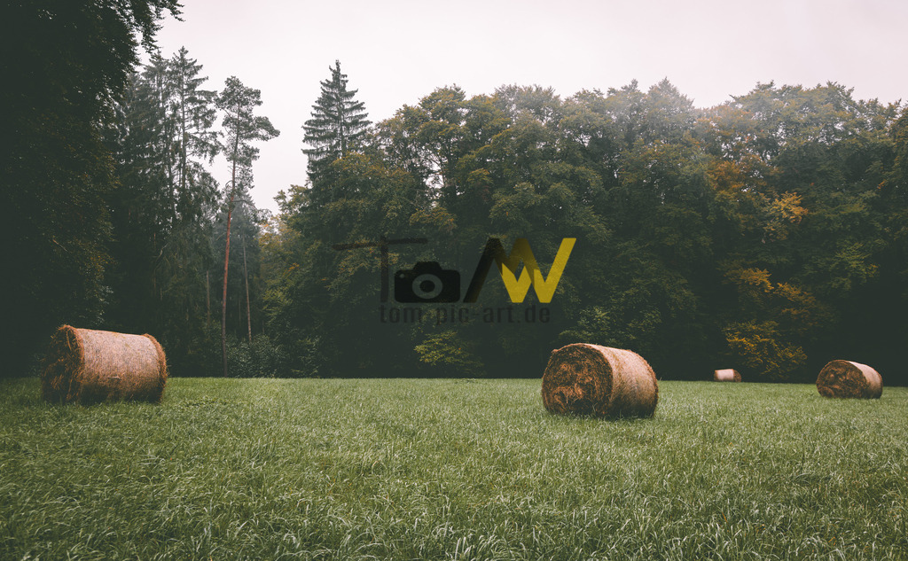 Heuballen auf einer Waldlichtung in düsterer Atmosphäre | Hochauflösende und hochwertige Bilder und Fotos.Kommerzielle oder private Nutzung ✔ Bilder downloaden✔ Acryl ✔ Leinwand ✔ Poster ✔
 - Realisiert mit Pictrs.com