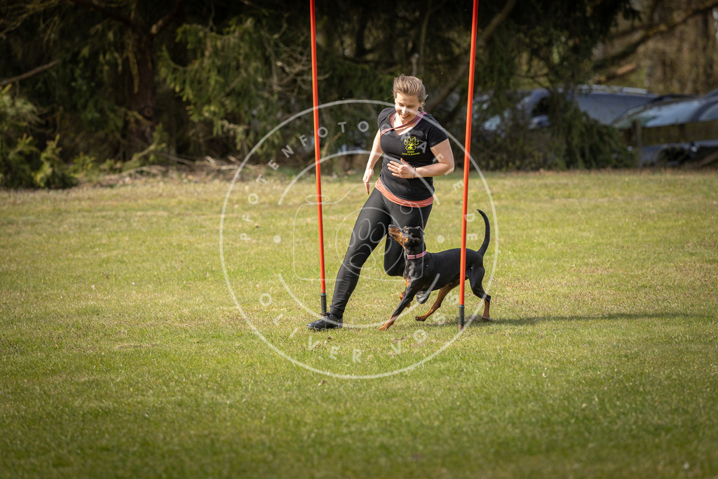 Pfotenfotografie_DV3A9923 | Hundefotografie, Tierfotograf, Pfotenfotografie, Fotoshooting Hund, Hunde Portrait, Hundesport, Hundeportraits, Heideshooting, Hunde, Sportfotograf, Hundefotograf, Turnierhundsport, THS,  - Realisiert mit Pictrs.com