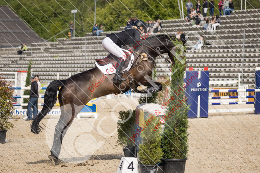 IMG_4873 | Sport-, Event- und Tierfotos in Profiqualität. Einfach auswählen, bestellen und herunterladen. Dein Moment – perfekt festgehalten.