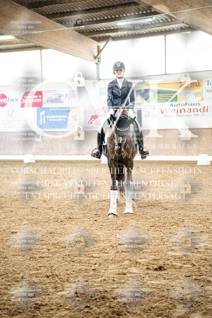 CK703037 | Turnierfotografie Pferdefotografie Trier Rheinland-Pfalz Pferdesport Reitsport Tierfotografie Sportfotografie Pferdevideo Pferdevideografie Equestrianvideography equestrianphotography  - Realized with Pictrs.com