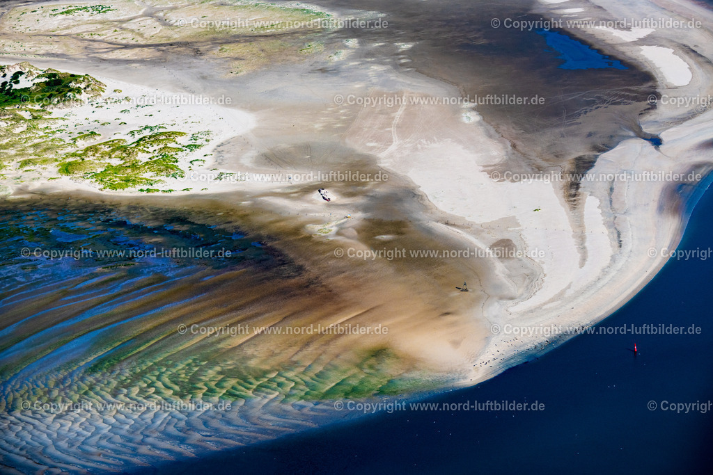Norderney_Robben_Und_Seehundbank_Ostende_ELS_5569050923 | NORDERNEY 05.09.2023 Küsten- Landschaft und Sandbank - Strukturen Robben und Seehunde auf einer Sandbank " Seehundbank " in Norderney im Bundesland Niedersachsen, Deutschland. // Coastal landscape and sandbank structures Seals and harbor seals on a sandbank "Seehundbank" in Norderney in the state Lower Saxony, Germany. Foto: Martin Elsen