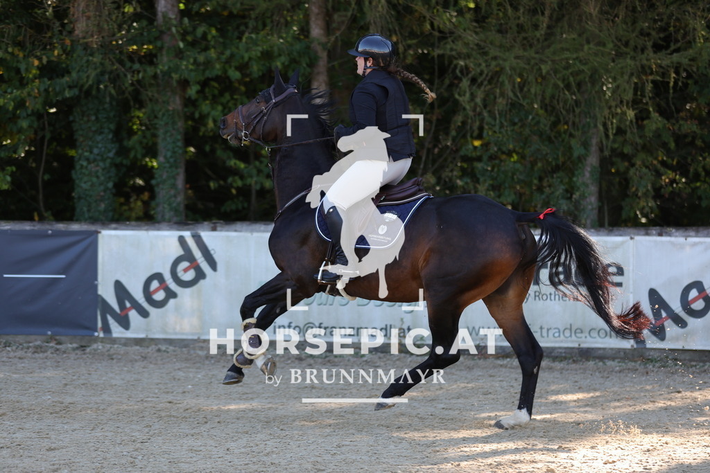 0P6A0824 | Willkommen bei Brunnmayr - Design & Fotografie – Ihrem Spezialisten für Reitturniere und Pferdeveranstaltungen in Oberösterreich, Salzburg und Bayern! Seit über 17 Jahren sind wir leidenschaftlich dabei.