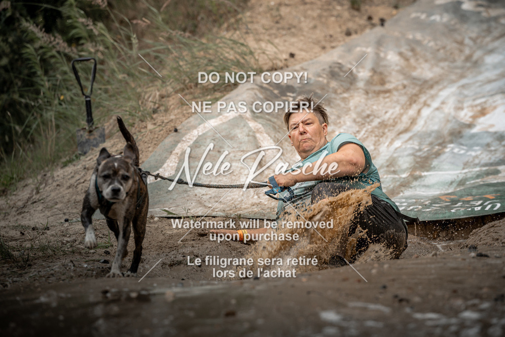 nelerasche_sa1600-1700_24 | nelerasche