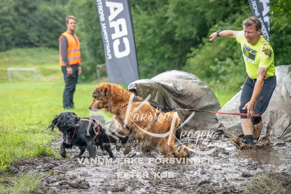0908_ZZ90167-Bearbeitet | kk-dogfotos