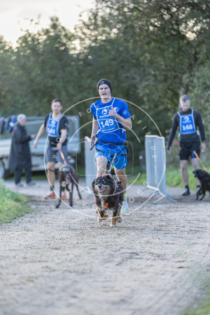 Pfotenfotografie.de_DV3A2802 | Hundefotografie, Tierfotograf, Pfotenfotografie, Fotoshooting Hund, Hunde Portrait, Hundesport, Hundeportraits, Heideshooting, Hunde, Sportfotograf, Hundefotograf, Turnierhundsport, THS, canicross - Realisiert mit Pictrs.com