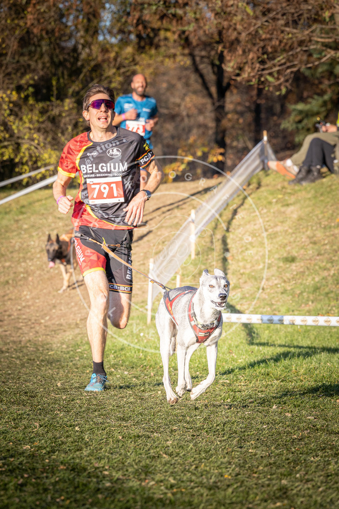 CaniXpix_0L8A0262 | Hundefotografie, Tierfotograf, Pfotenfotografie, Fotoshooting Hund, Hunde Portrait, Hundesport, Hundeportraits, Heideshooting, Hunde, Sportfotograf, Hundefotograf, Turnierhundsport, THS,  - Realisiert mit Pictrs.com