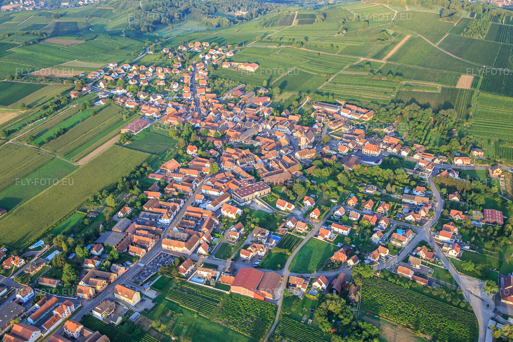 Vue aérienne: Vue de la ville depuis l'est à Dahlenheim dans le département Bas Rhin, France – .Photo: IMG_138020.jpg prise le 19/08/2023 par Werner Riehm/FLY-FOTO.eu – Résolution de l'original: 5472 x 3648 px