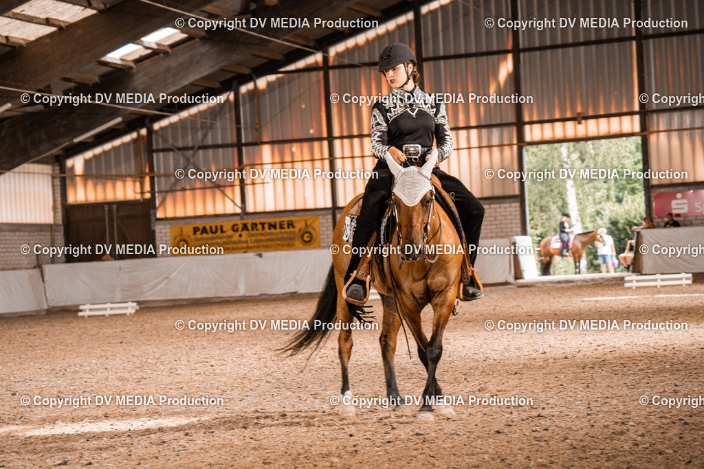 ZH200320 | dv-media-shop - Realisiert mit Pictrs.com