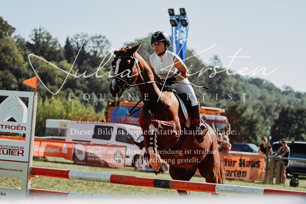 DSC_6974 | Pferde- und Turnierfotografie in Westsachsen. Pferdeportraits, Auftragszeichnungen und intuitive Kunst.