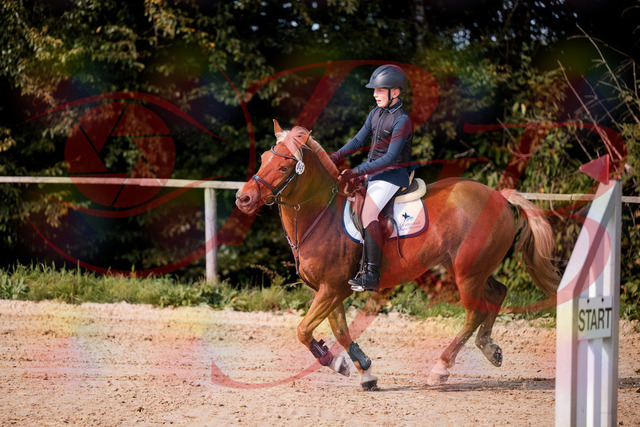 2026_10_03_Siefer-Hof_144723_Z81_24234500 | Professionelle Reitsport-, Turnier- und Eventfotografie von Robert Broda. Galerien mit ausgewählten und bearbeiteten Bildern direkt online ansehen und bestellen.
