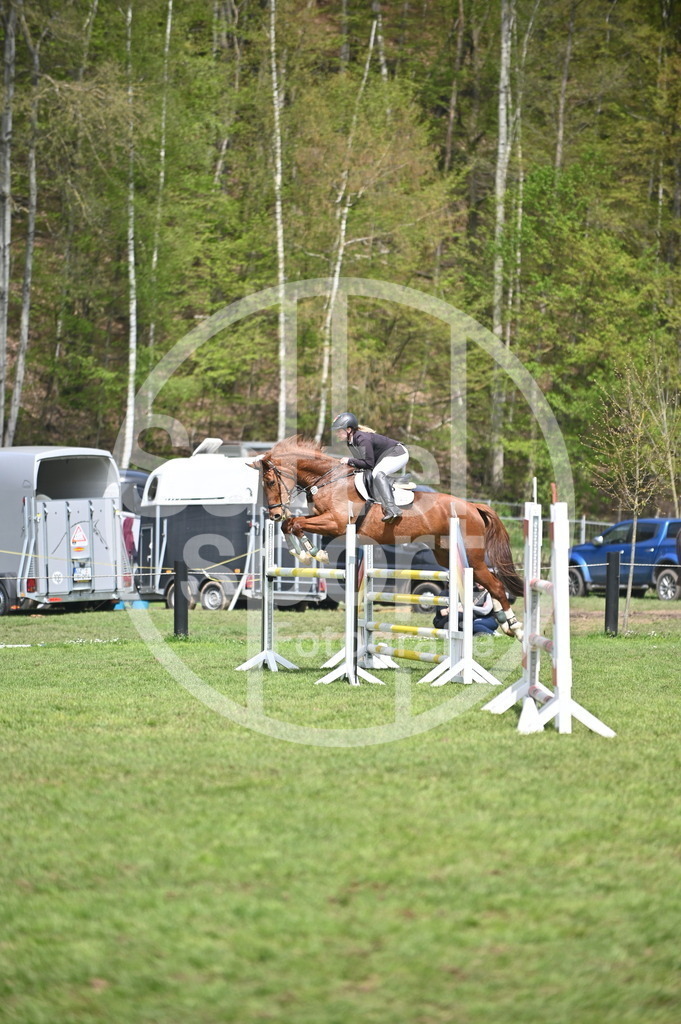 DSC_2547 | sattelsport - Realisiert mit Pictrs.com