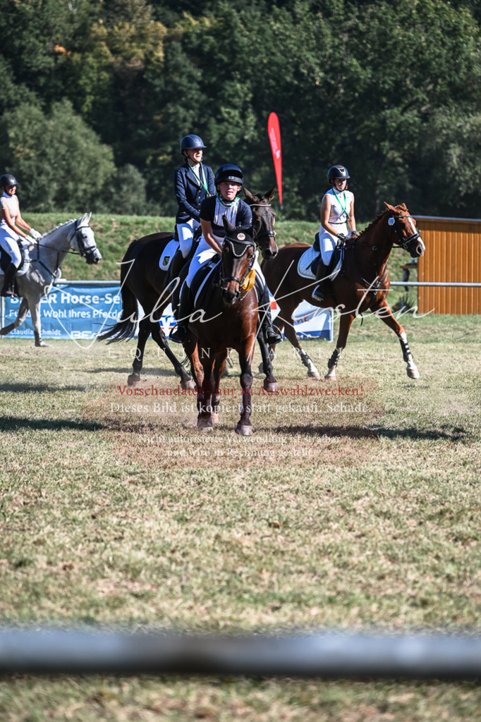 DSC_7151 | Pferde- und Turnierfotografie in Westsachsen. Pferdeportraits, Auftragszeichnungen und intuitive Kunst.