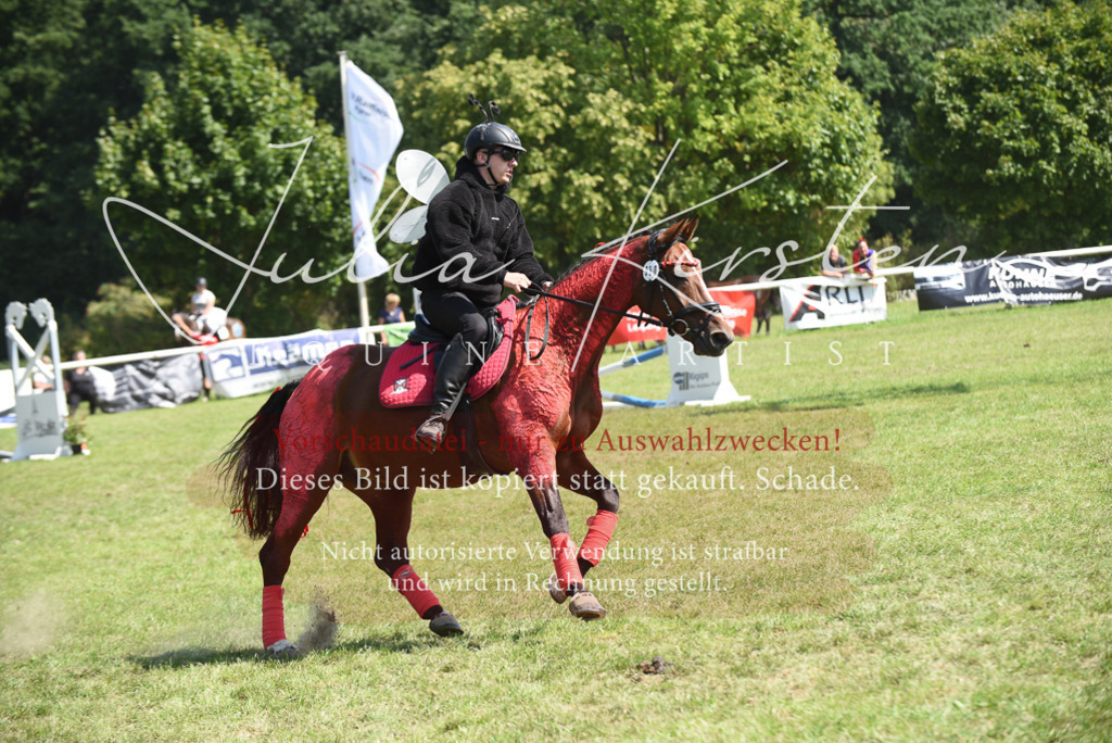DSC_0201 | Pferde- und Turnierfotografie in Westsachsen. Pferdeportraits, Auftragszeichnungen und intuitive Kunst.