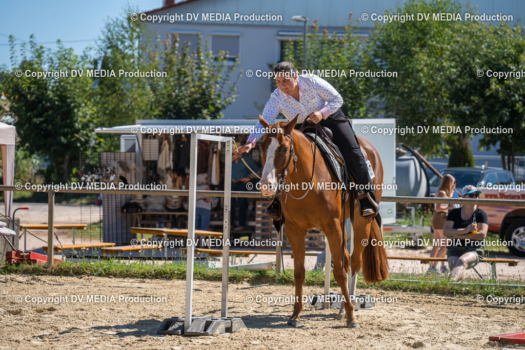 LM Heiligenwald Tag 1-812 | dv-media-shop - Realisiert mit Pictrs.com