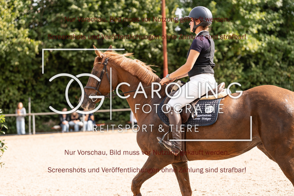 DSC02621 | Turnierfotografin Carolin Gieschke, Turnierfotografie Carolin G Fotografie, Turnierfotos Kirchheim/Teck, Esslingen, Stuttgart, Bodenseekreis