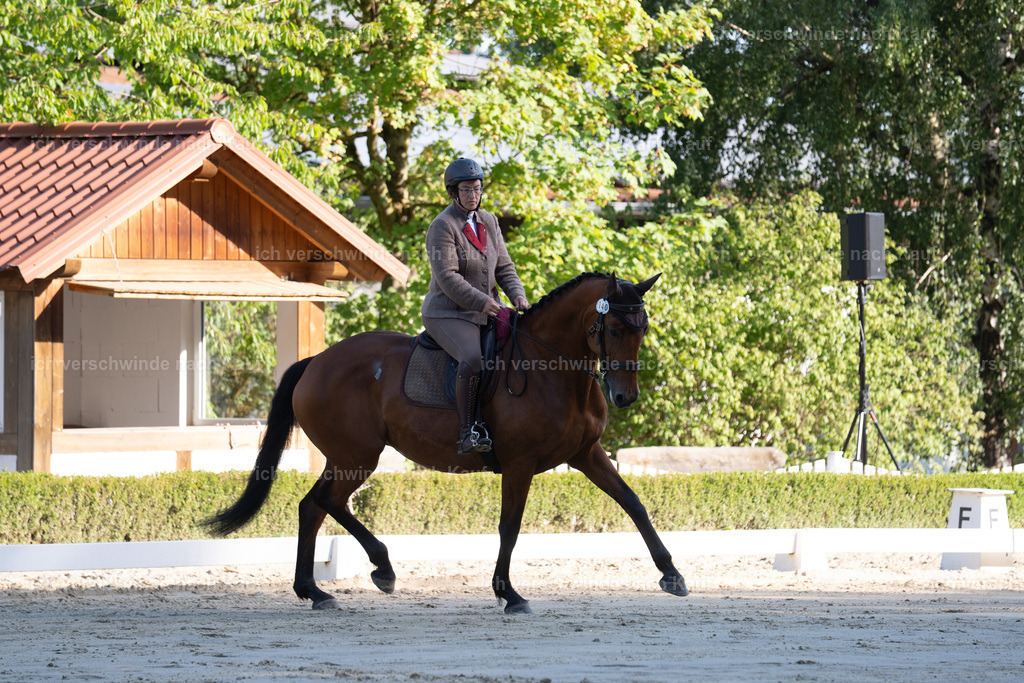 WL_DR_140_sinafilmart_IN05703 | working equitationturnier fotograf videograf stoibphotography marixx film working equitation deutschland reitsport turnierfotografie eventfotografie equestrian events