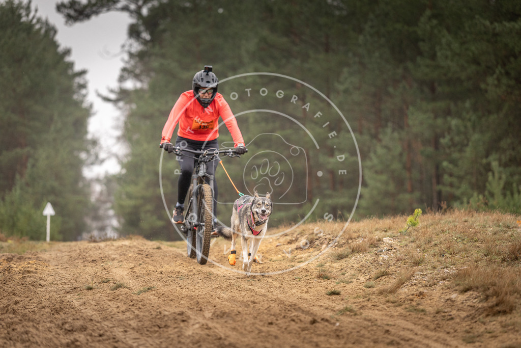 Pfotenfotografie_DV3A3705 | Hundefotografie, Tierfotograf, Pfotenfotografie, Fotoshooting Hund, Hunde Portrait, Hundesport, Hundeportraits, Heideshooting, Hunde, Sportfotograf, Hundefotograf, Turnierhundsport, THS,  - Realisiert mit Pictrs.com