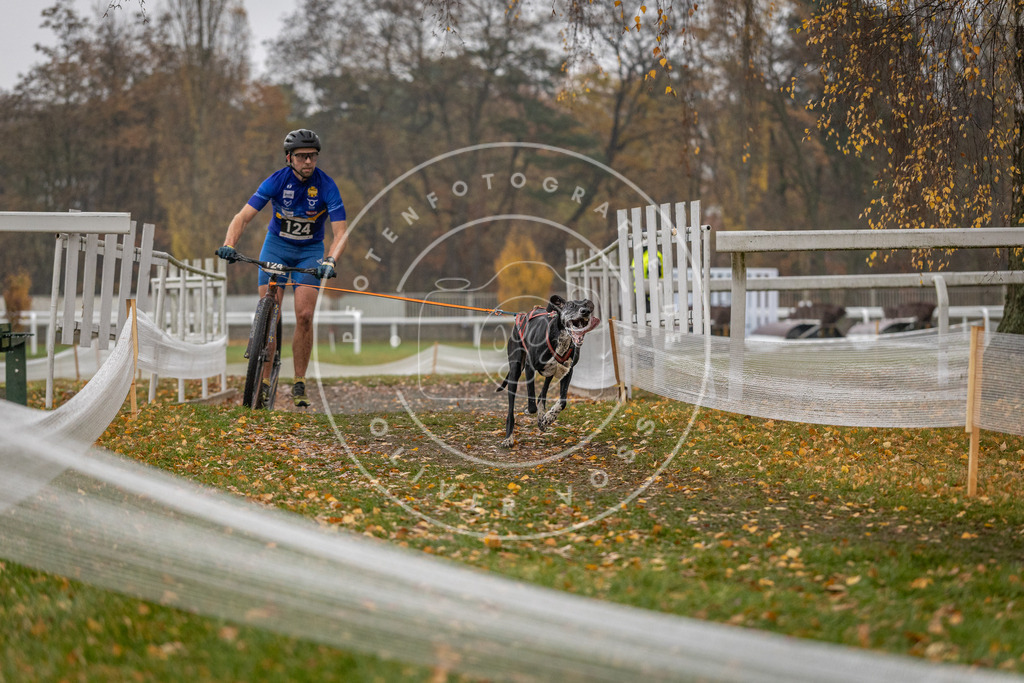 CaniXpix_DV3A7558 | Hundefotografie, Tierfotograf, Pfotenfotografie, Fotoshooting Hund, Hunde Portrait, Hundesport, Hundeportraits, Heideshooting, Hunde, Sportfotograf, Hundefotograf, Turnierhundsport, THS,  - Realisiert mit Pictrs.com