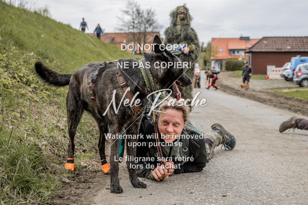 NR__2937 | nelerasche