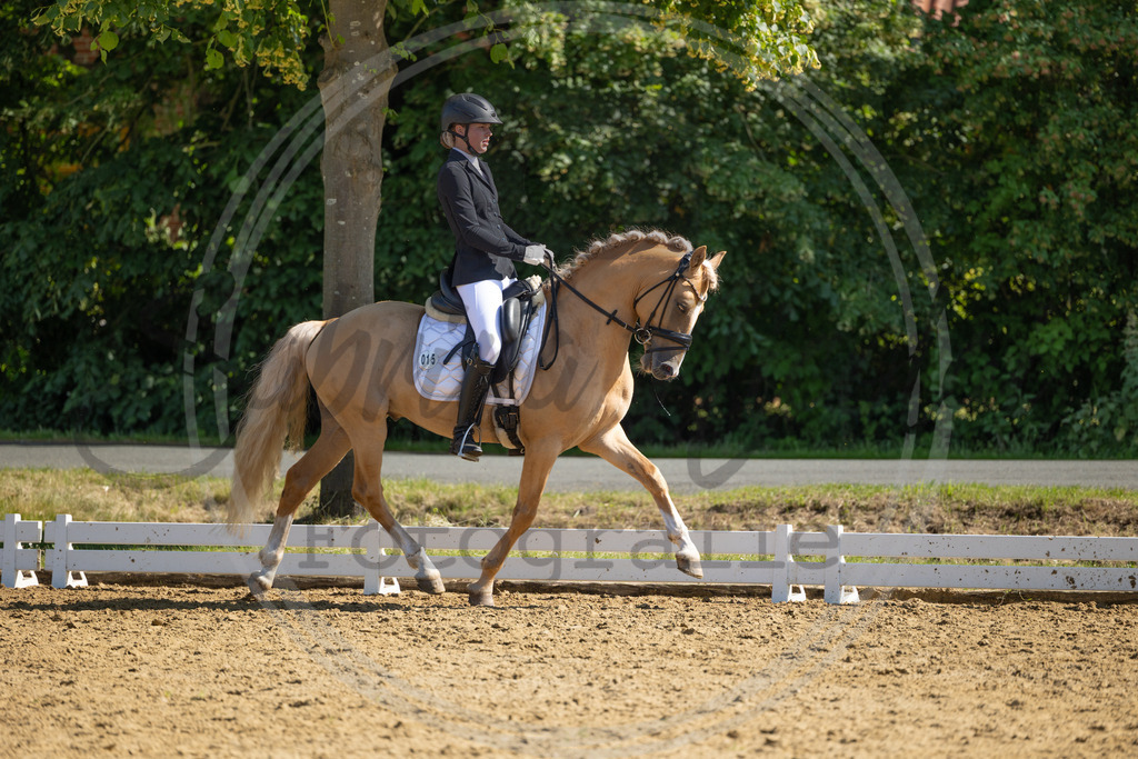 994A3116 | sabrinanicolaifotografie - Realisiert mit Pictrs.com