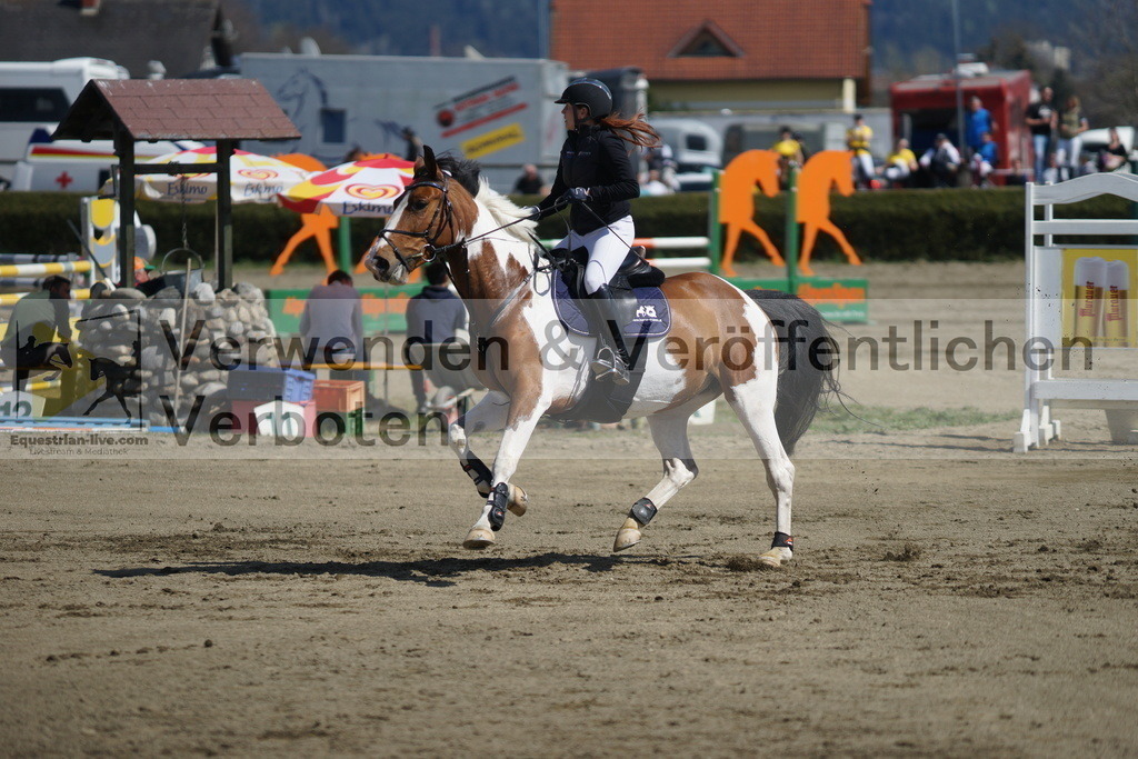DSC03063 | equestrian-live-com