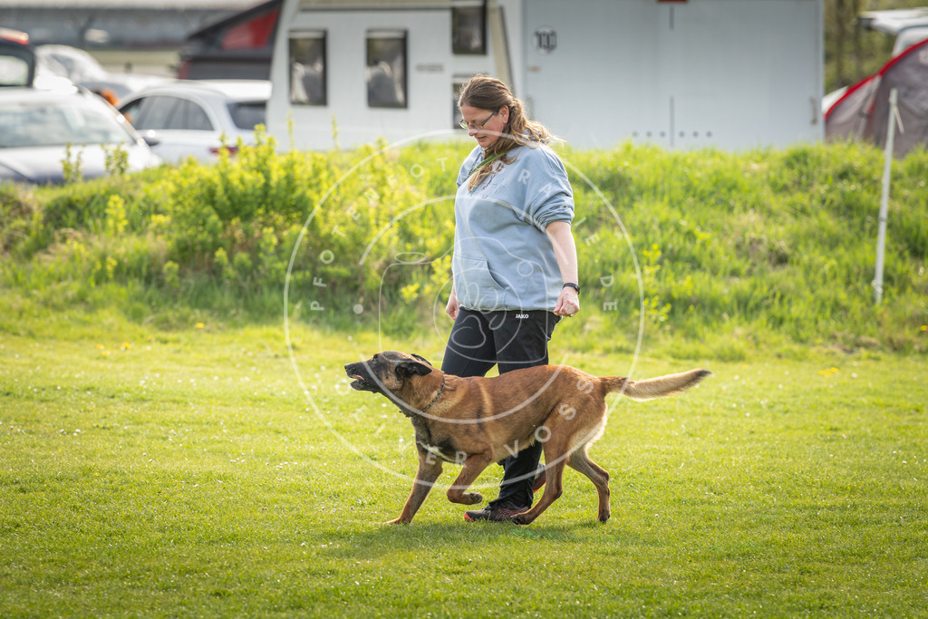Pfotenfotografie_DV3A4966 | Hundefotografie, Tierfotograf, Pfotenfotografie, Fotoshooting Hund, Hunde Portrait, Hundesport, Hundeportraits, Heideshooting, Hunde, Sportfotograf, Hundefotograf, Turnierhundsport, THS,  - Realisiert mit Pictrs.com