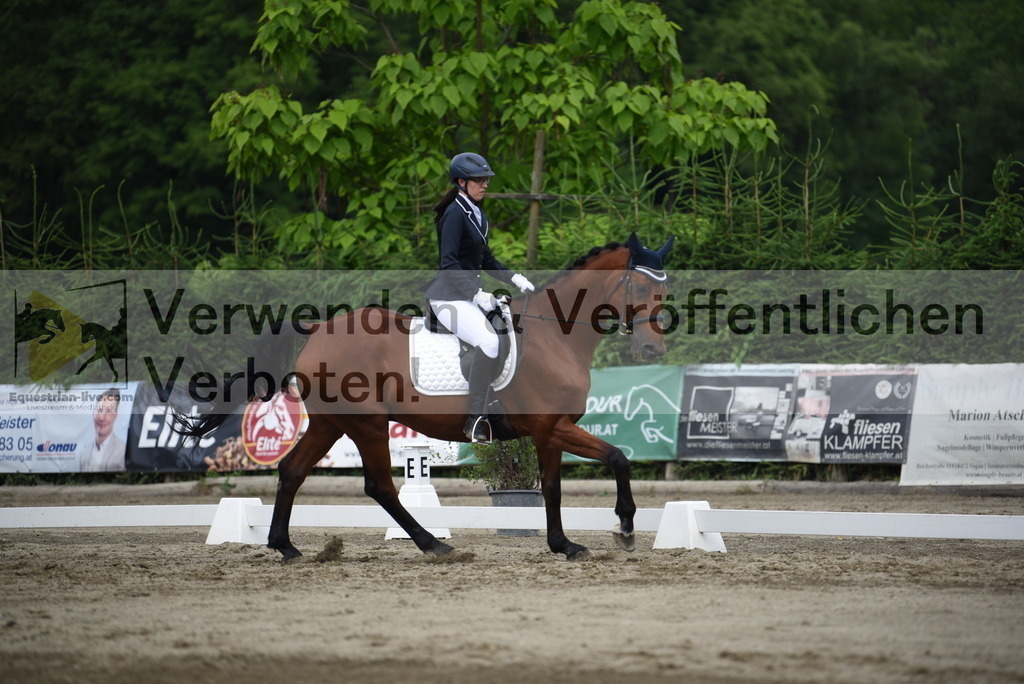 DSC_8624 | equestrian-live-com
