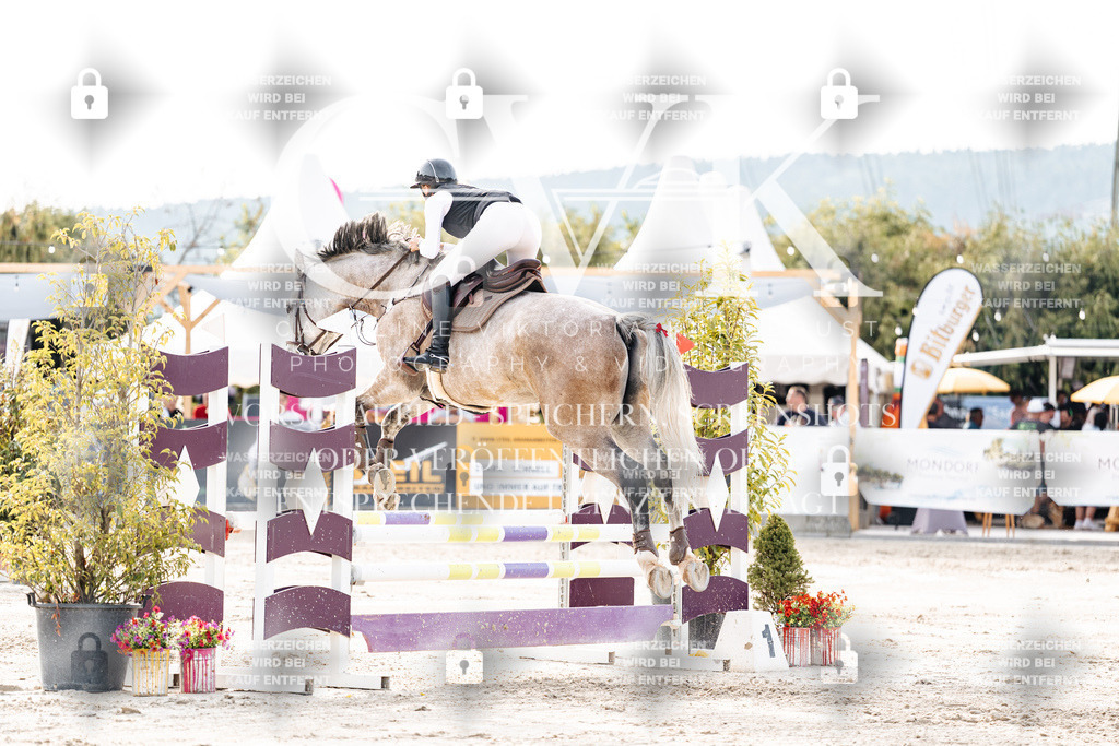 CK906712 | Turnierfotografie Pferdefotografie Trier Rheinland-Pfalz Pferdesport Reitsport Tierfotografie Sportfotografie Pferdevideo Pferdevideografie Equestrianvideography equestrianphotography  - Realisiert mit Pictrs.com