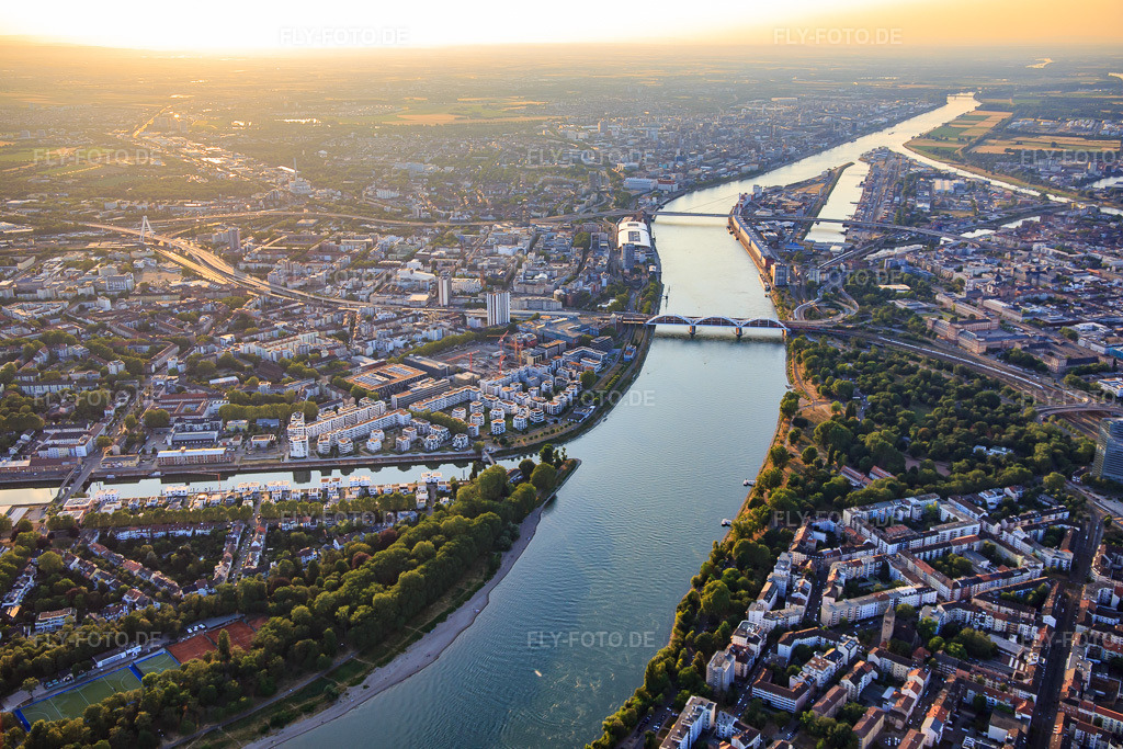 Luftbild: Rheinbrücken und Stephanienufer am Rhein von Süden gegenüber der Parkinsel im Ortsteil Lindenhof in Mannheim im Bundesland Baden-Württemberg in Deutschland. Foto: IMG_137197.jpg vom 24.06.2023 durch Werner Riehm/FLY-FOTO.de