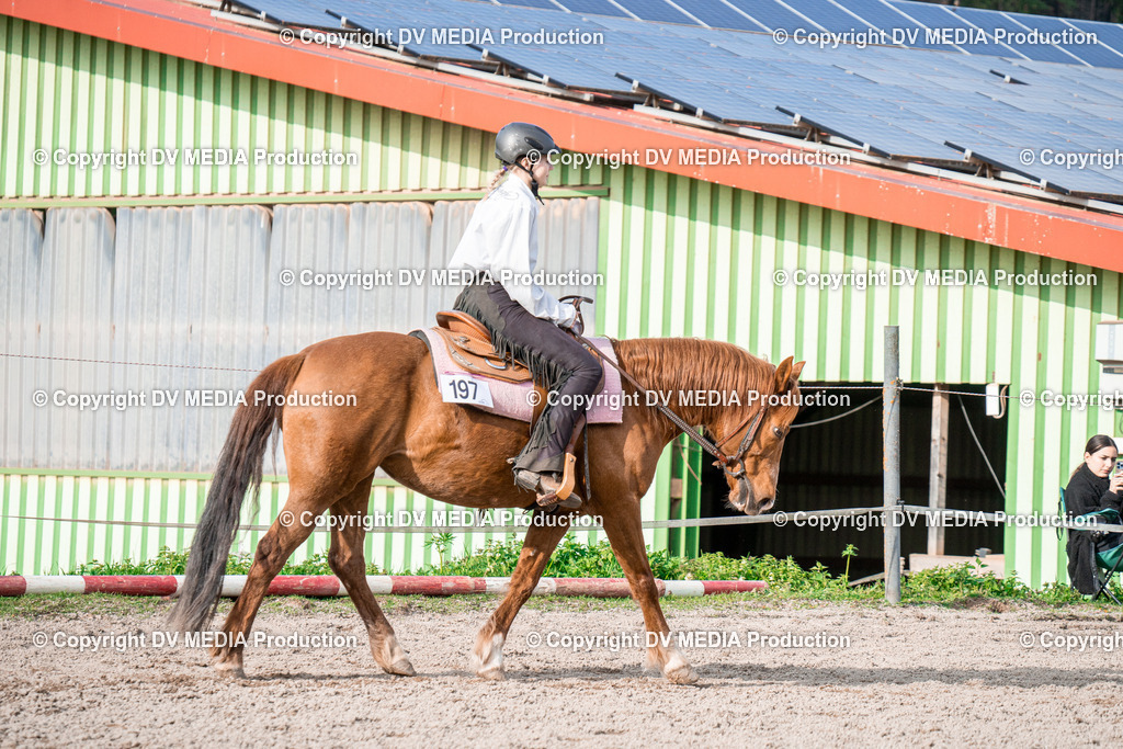 BAL02859 | dv-media-shop - Realisiert mit Pictrs.com