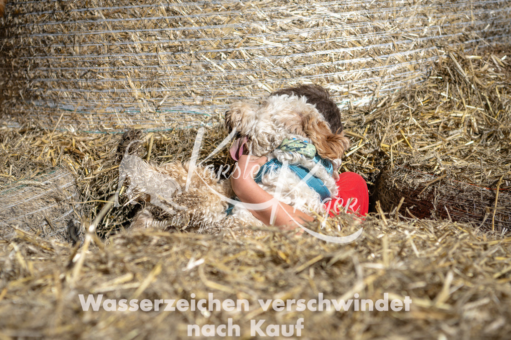 1214_ZZ90860-2 | kk-dogfotos