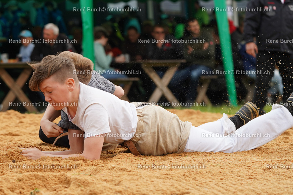 20220423-DSC08001 (2) | René Burch leidenschaftlicher Fotograf aus Kerns in Obwalden.  Hier finden sie Sport, Landschaft und Natur Fotografie.
 - Realisiert mit Pictrs.com