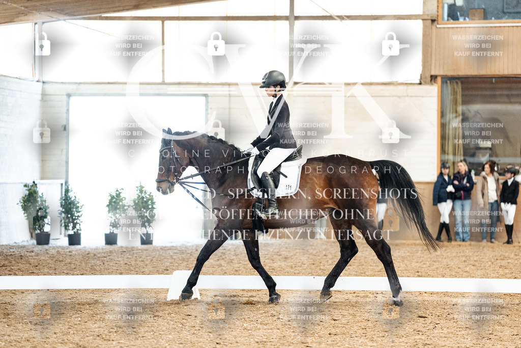 CK909937 | Turnierfotografie Pferdefotografie Trier Rheinland-Pfalz Pferdesport Reitsport Tierfotografie Sportfotografie Pferdevideo Pferdevideografie Equestrianvideography equestrianphotography  - Realized with Pictrs.com