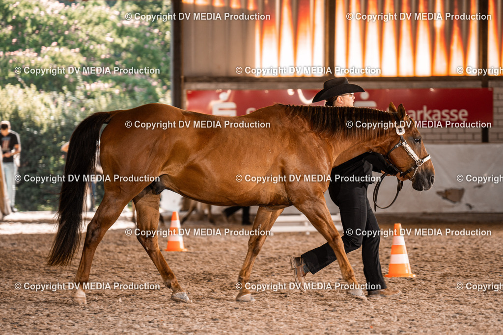 ZH100106 | dv-media-shop - Realisiert mit Pictrs.com