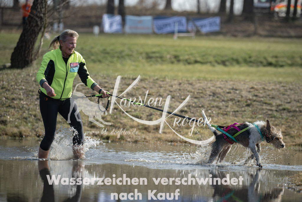 1312_ZZ95113 | kk-dogfotos