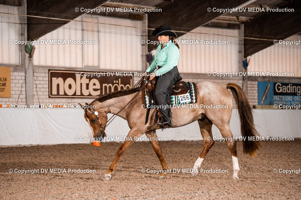 ZH100089 | dv-media-shop - Realisiert mit Pictrs.com