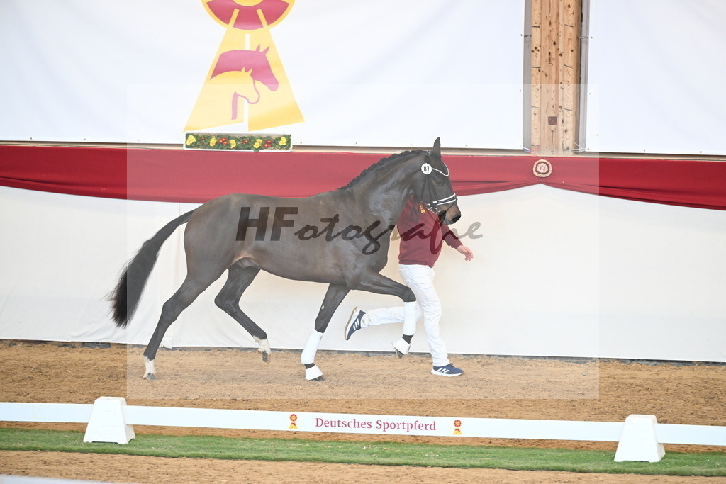 Kat.-Nr. 87 v. Vitalis_Berger _ Beckmann_2250944 | hf-fotografie - Realisiert mit Pictrs.com
