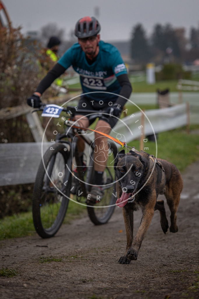 CaniXpix_0L8A1718 | Hundefotografie, Tierfotograf, Pfotenfotografie, Fotoshooting Hund, Hunde Portrait, Hundesport, Hundeportraits, Heideshooting, Hunde, Sportfotograf, Hundefotograf, Turnierhundsport, THS,  - Realisiert mit Pictrs.com