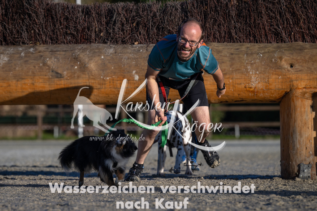 0943-94607 | kk-dogfotos