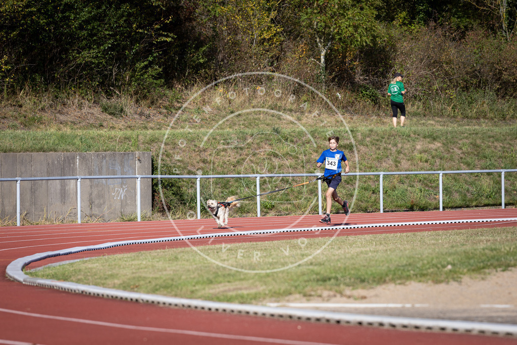 Pfotenfotografie_DV3A8461 | Hundefotografie, Tierfotograf, Pfotenfotografie, Fotoshooting Hund, Hunde Portrait, Hundesport, Hundeportraits, Heideshooting, Hunde, Sportfotograf, Hundefotograf, Turnierhundsport, THS,  - Realisiert mit Pictrs.com