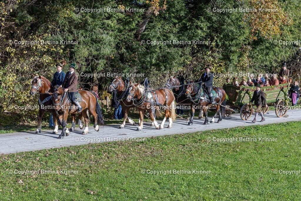 LBT24-703 | foto-bettina-krinner - Realisiert mit Pictrs.com