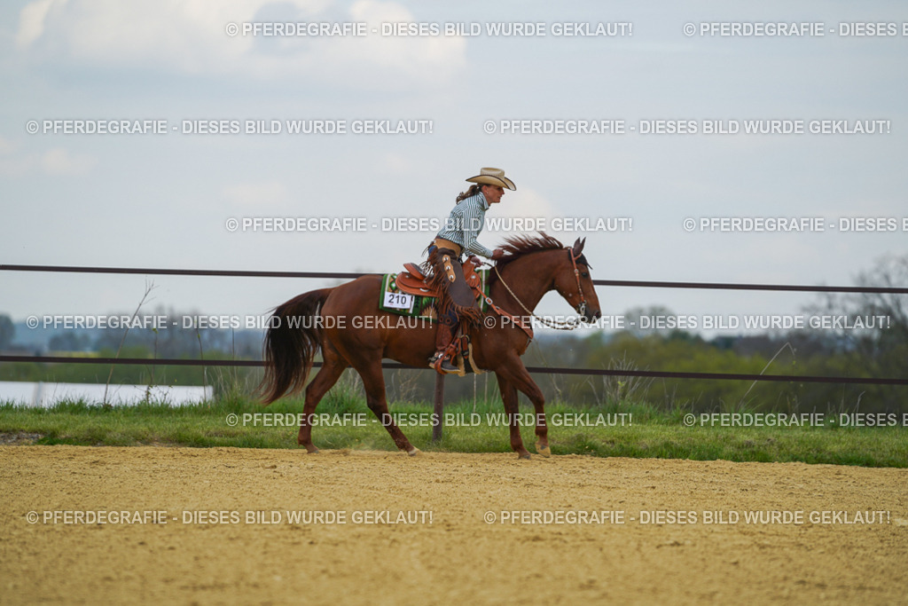 DSC06905 | Pferdegrafie