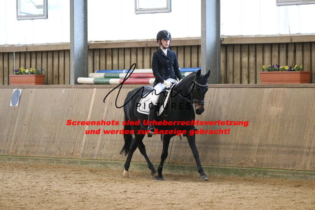 IMG_4000 | lmwpictures - Realisiert mit Pictrs.com