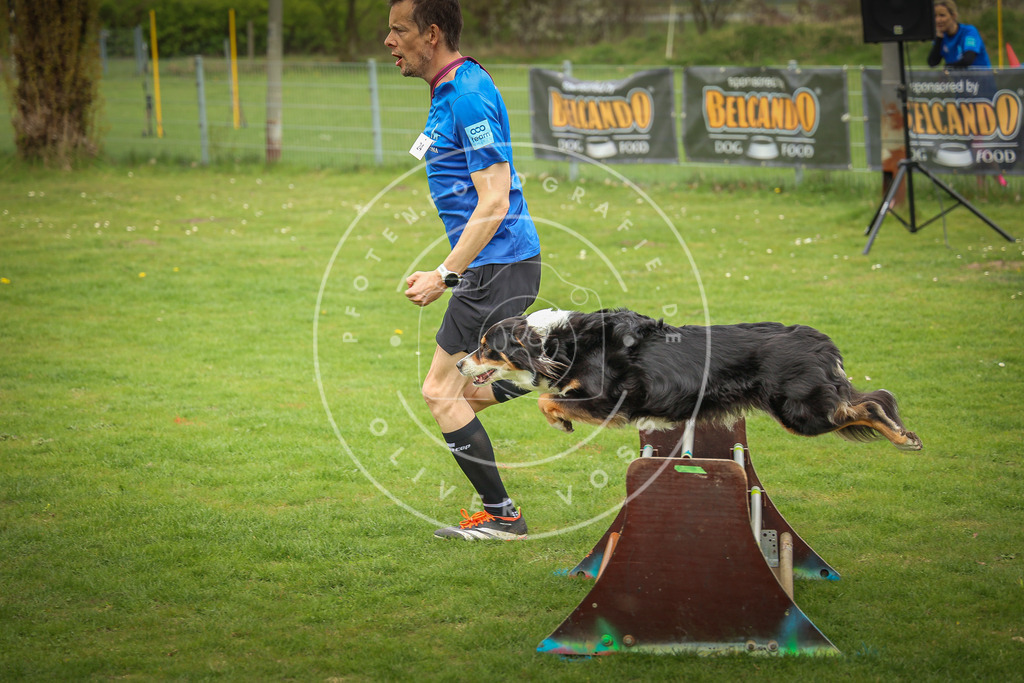 Pfotenfotografie_0L8A9722 | Hundefotografie, Tierfotograf, Pfotenfotografie, Fotoshooting Hund, Hunde Portrait, Hundesport, Hundeportraits, Heideshooting, Hunde, Sportfotograf, Hundefotograf, Turnierhundsport, THS,  - Realisiert mit Pictrs.com