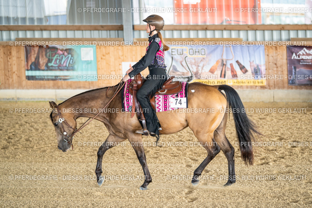 DSC07804 | Pferdegrafie