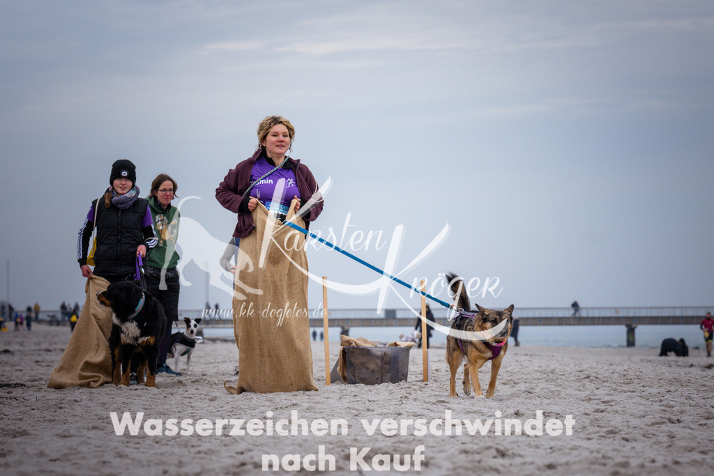 1223_ZZ93844 | kk-dogfotos