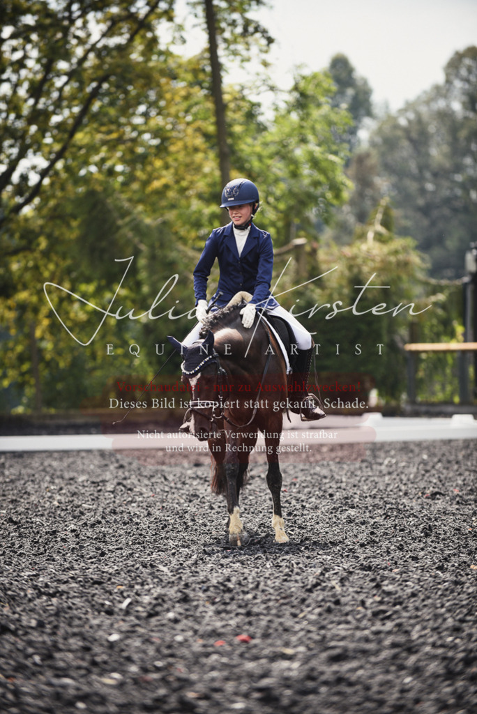 DSC_3876 | Pferde- und Turnierfotografie in Westsachsen. Pferdeportraits, Auftragszeichnungen und intuitive Kunst.