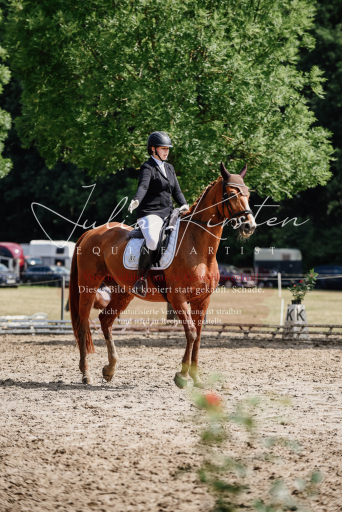 DSC_0344 | Pferde- und Turnierfotografie in Westsachsen. Pferdeportraits, Auftragszeichnungen und intuitive Kunst.