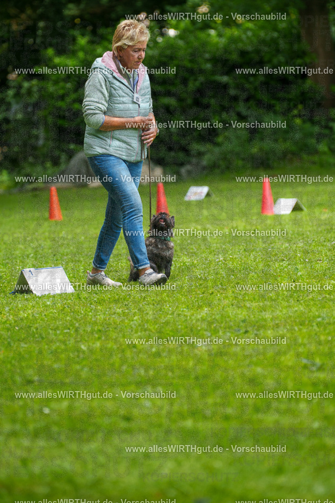 @allesWIRTHgut_Tierfotografie - www.allesWIRTHgut.de - 7R504411 | Professionelle Tierfotografie in Mönchengladbach von Daniel Wirth (allesWIRTHgut). Liebevolle & natürliche Bilder von Hunden & Katzen für unvergessliche Erinnerungen.
